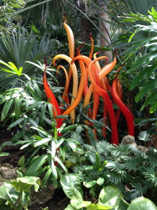 Dale Chihuly's art glass at the Phipps.