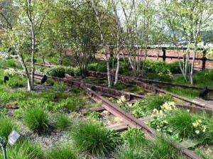 up on the High Line in New York City.  Beauty amidst the crush of a big city.